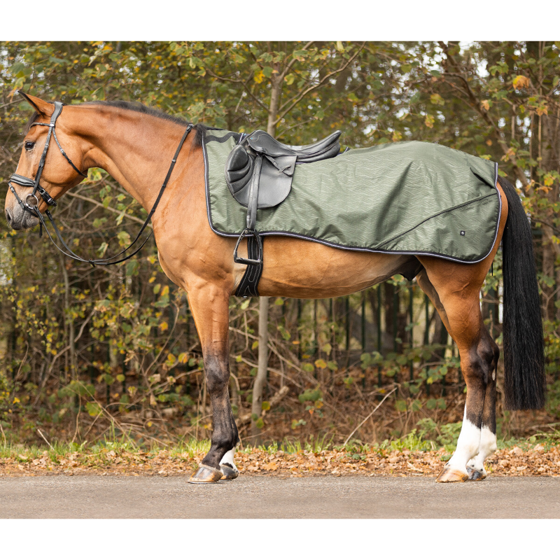 QHP Turnout Collection Fleece Lined Exercise Sheet - Botanista